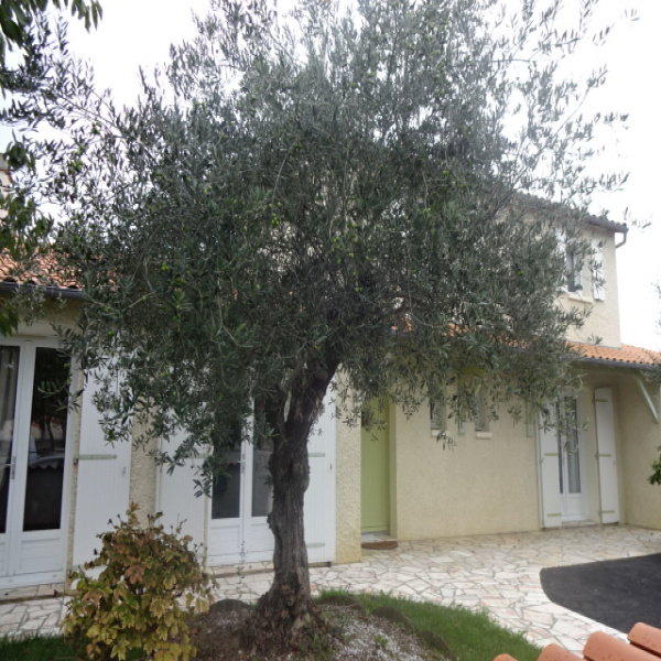 Offres de vente Maison Niort 79000